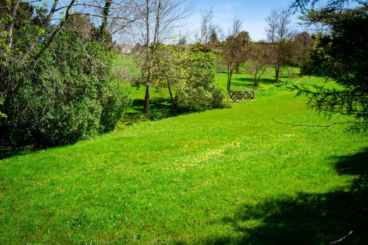 Hotel Rural Quinta Do Juncal Serra d'El-Rei Eksteriør bilde